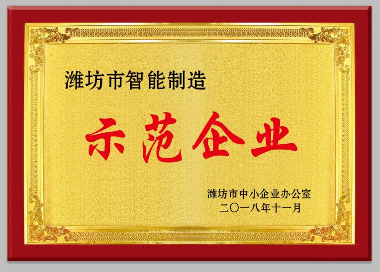 Weifang City Intelligent Manufacturing Demonstration Enterprise