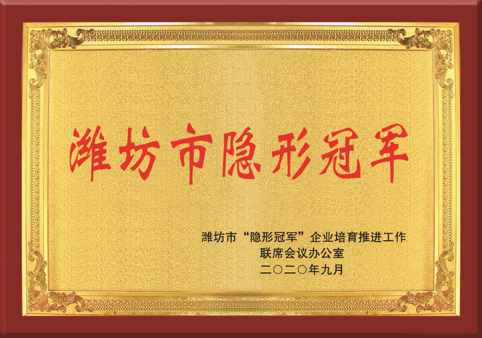 Weifang's Hidden Champions