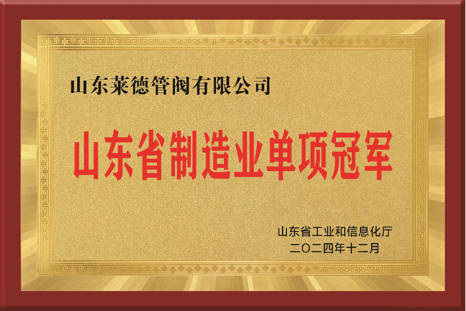 Shandong Province Manufacturing Single-Item Champions